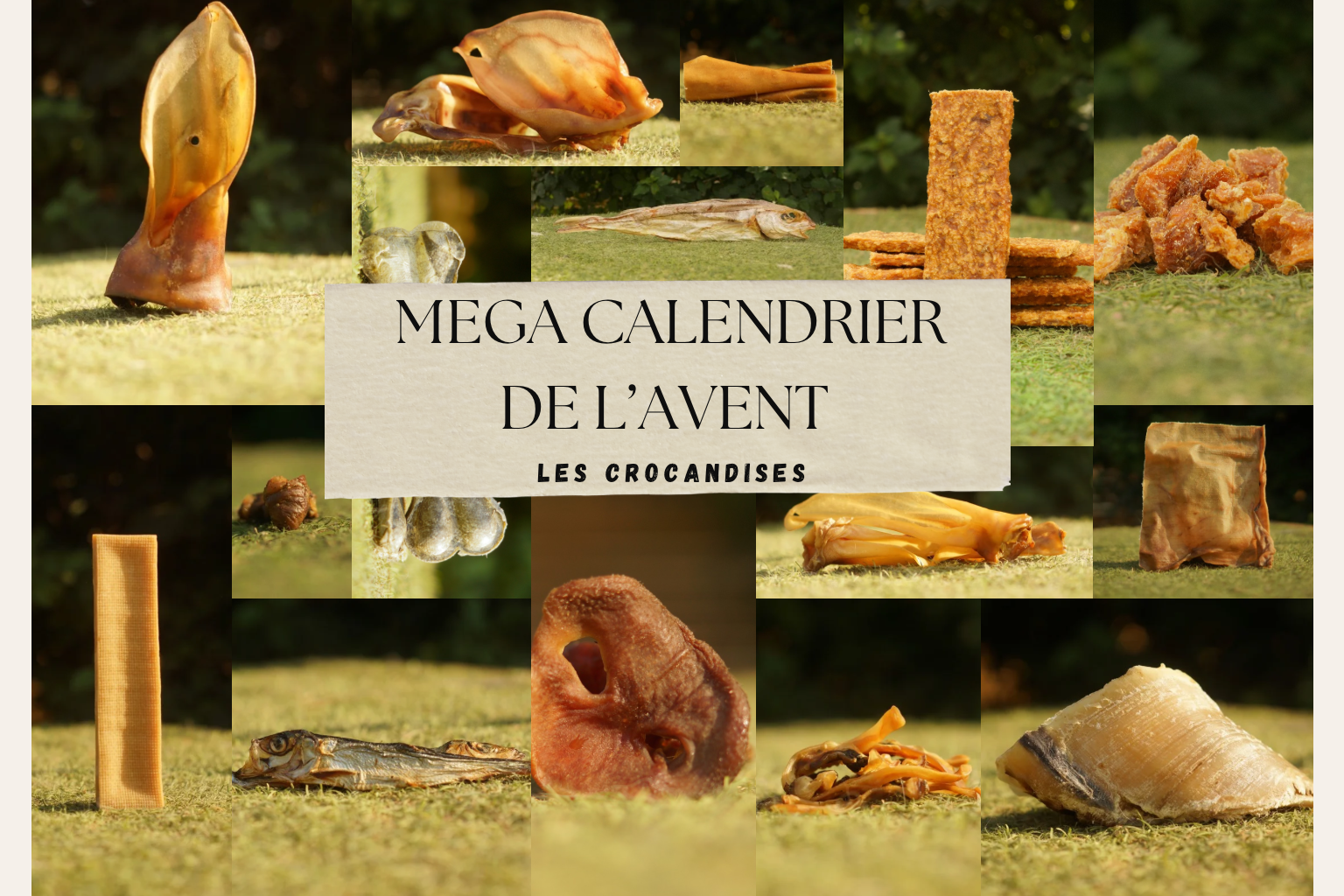 Mega Calendrier de l’avent 🎄🍖✨