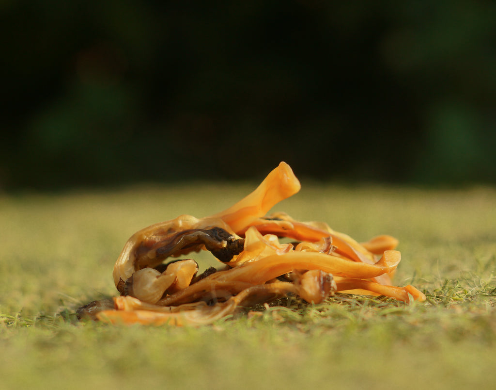 Chair de couteau de mer 100g 🌊