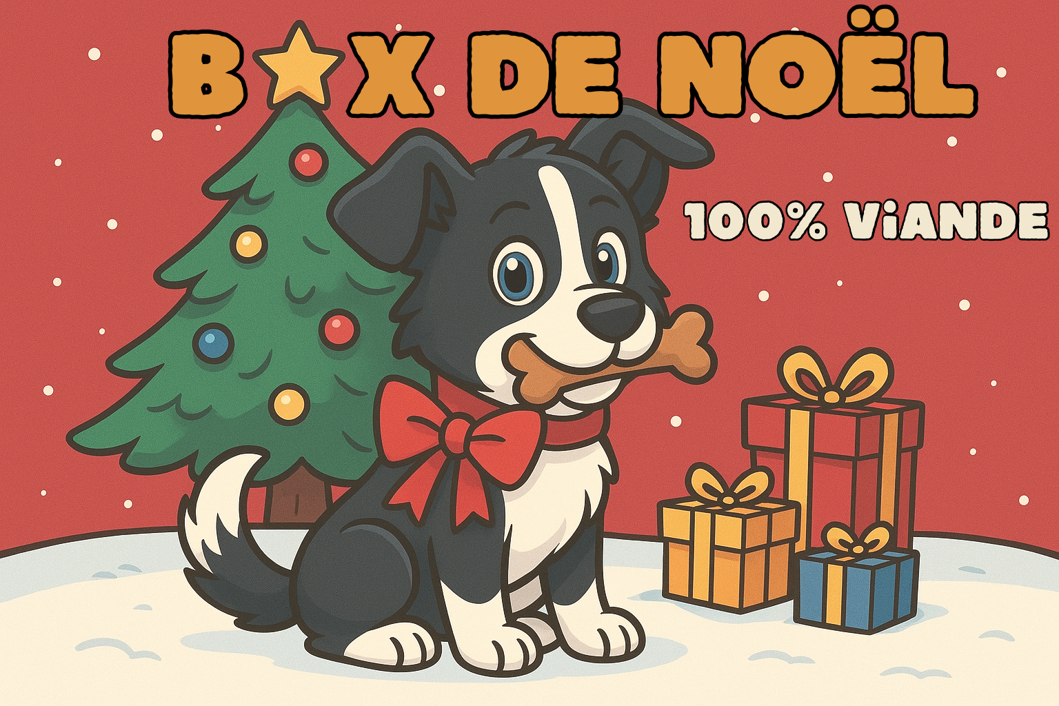 Box de Noël 🎄 100% viande 🥩 🍖 STOCK LIMITÉ