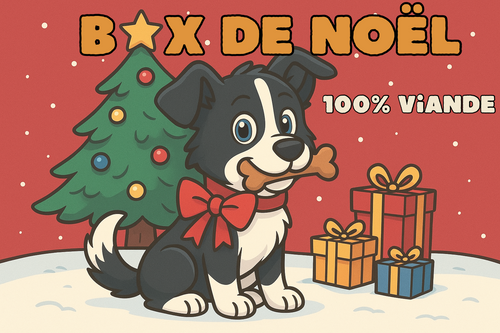 Box de Noël 🎄 100% viande 🥩 🍖 STOCK LIMITÉ