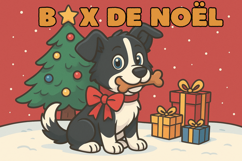Box de Noël 🎄 mixte 🐟 🥩 STOCK LIMITÉ